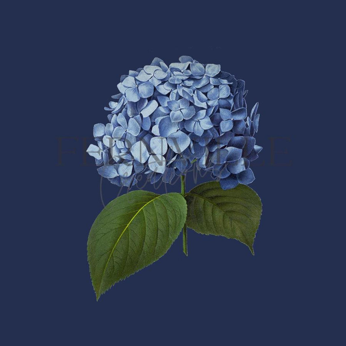 Hydrangea Towel, Blue Floral Hand in Cotton Terry Cloth